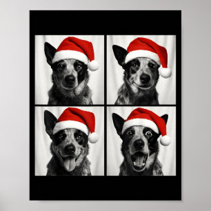 Funny Christmas Australian Cattle Dog Santa Photo  Poster
