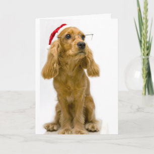 Funny Christmas Card