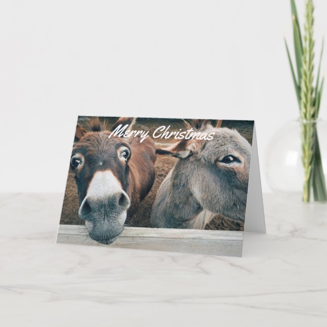 Funny Christmas Card - Donkey (Front)