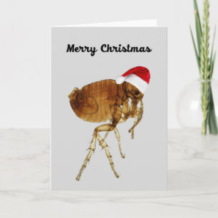 Funny Christmas Card for Pet Lovers