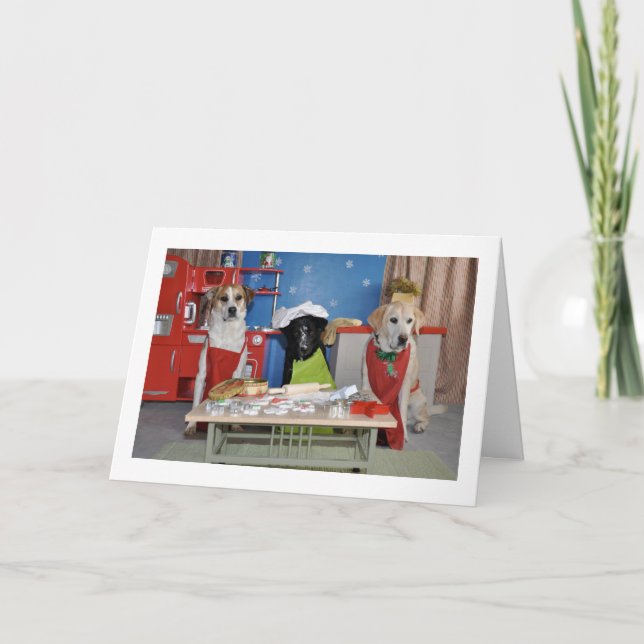 Funny Christmas card, photo of 3 dogs baking Holiday Card (Front)