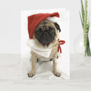 Funny Christmas Card - Puggy
