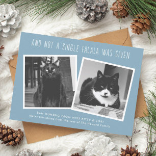 Funny Christmas Cards for Naughty Pet Owners
