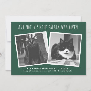 Funny Christmas Cards for Naughty Pet Owners