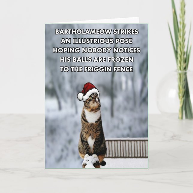 Funny Christmas cat Holiday Card (Front)