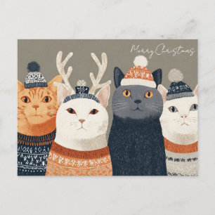 Funny Christmas Cat Postcard