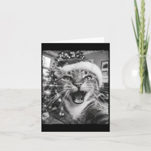 Funny Christmas Cat Selfie  Card