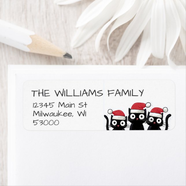 Funny Christmas Cats Holiday (Insitu)