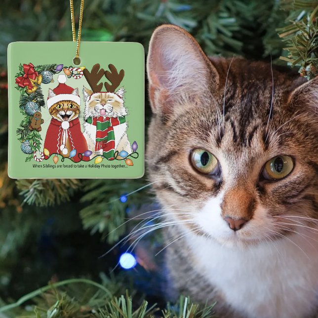 Funny Christmas Cats Holiday Photo Siblings Green Ceramic Ornament (Creator Uploaded)