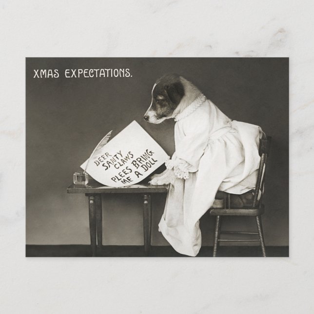 Funny Christmas Dog Xmas Expectations Holiday (Front)
