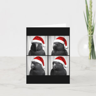Funny Christmas Eclectus Parrot Santa Photo Booth  Card