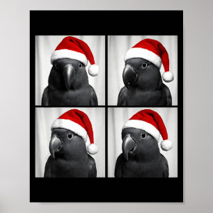 Funny Christmas Eclectus Parrot Santa Photo Booth  Poster