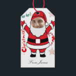 Funny christmas gift tags<br><div class="desc">Funny christmas gift tags. Personalised christmas gift tags</div>