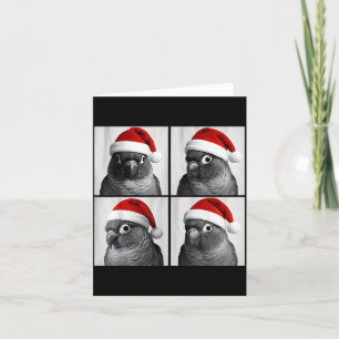 Funny Christmas Green Cheek Conure Santa Photo Boo Card