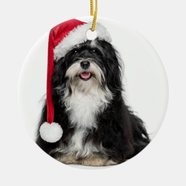 Funny Christmas Havanese Dog With Santa Hat Metal Tree Decoration (Front)