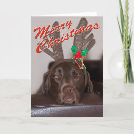 Funny Christmas Labrador With Glitter Antlers Holiday Card