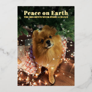 Funny Christmas Pomeranian Dog Peace on Earth