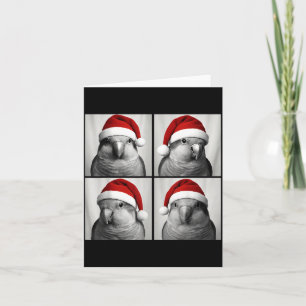 Funny Christmas Quaker Parrot Santa Photo Booth Card