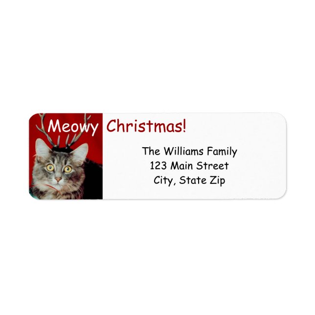 Funny Christmas Return Address Labels (Front)
