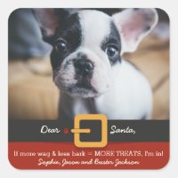 Funny Christmas Santa Dog More Wag Less Bark Photo