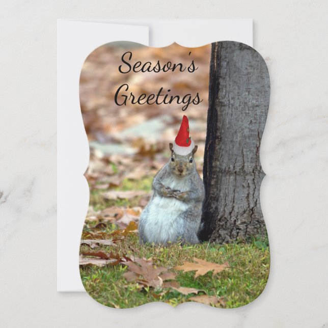 Funny Christmas Santa  Greeting card (Front)