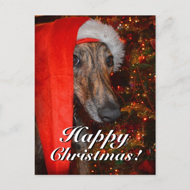 Funny Christmas Santa Greyhound Lurcher Holiday Postcard (Front)