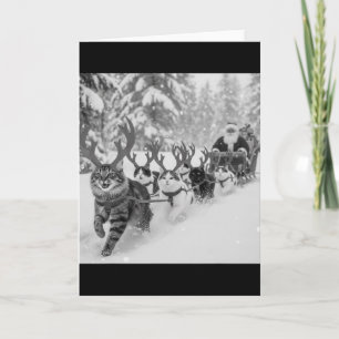 Funny Christmas Santa Sleigh Cats Reindeer Selfie Card