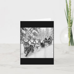 Funny Christmas Santa Sleigh Cats Reindeer Selfie Card