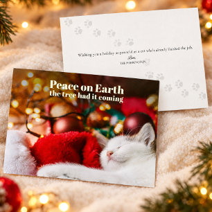 Funny Christmas Sleeping Cat Peace on Earth