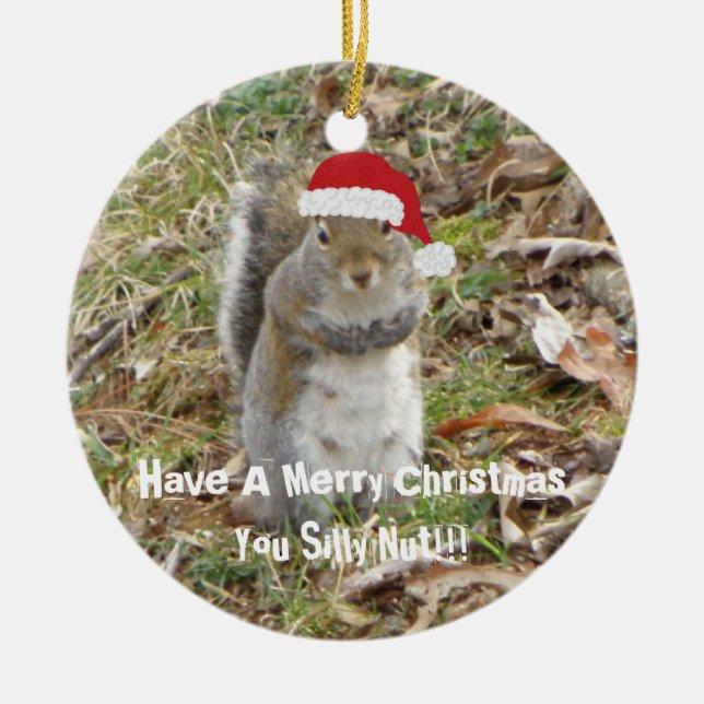 Funny Christmas Squirrel Ornament (Front)