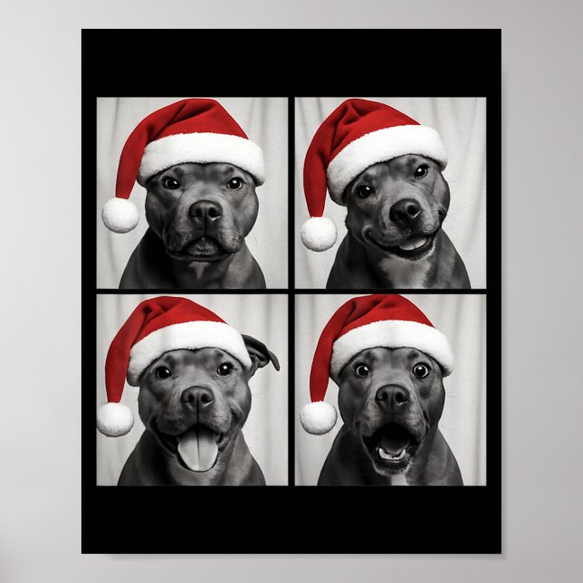 Funny Christmas Staffordshire Bull Terrier Santa P Poster (Front)
