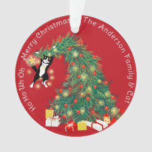 Funny Christmas Tree Cat Custom 2 Scene Ornament
