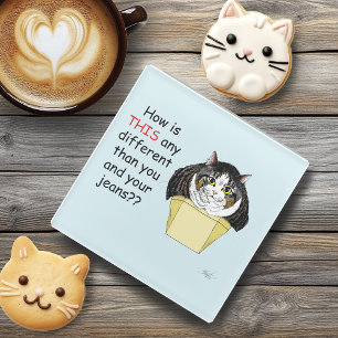 Funny Chubby Tabby Cat Box Glass Coaster