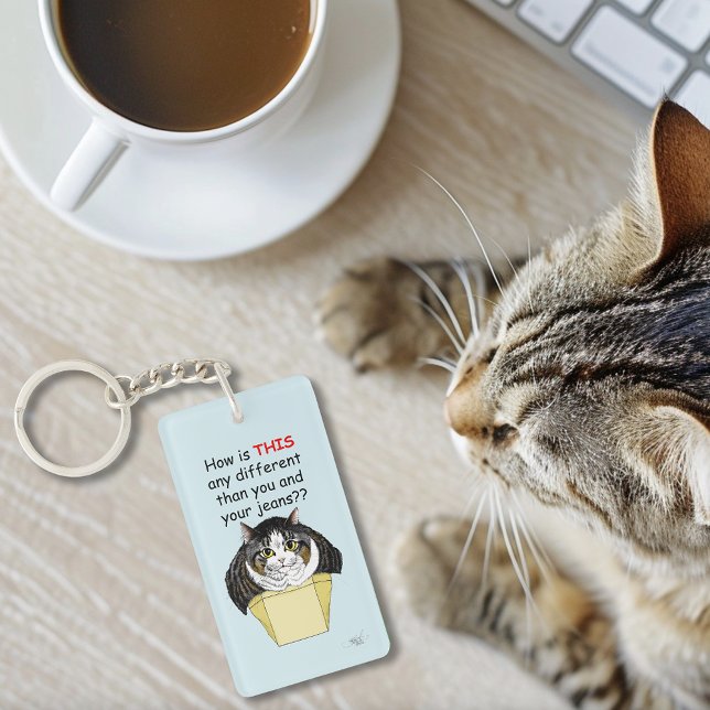 Funny Chubby Tabby Cat Box Key Ring (Creator Uploaded)