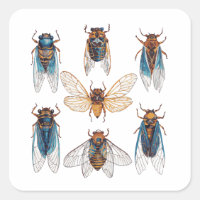 Funny Cicadas Insect Bug Graphic Cicada Lover