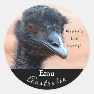 Funny close up of an Emu in Australia Classic Round Sticker
