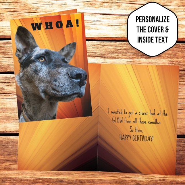 Funny Close Up Photo Cattle Dog Head Card (front and inside template greeting card)