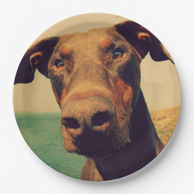 Funny Closeup of a Natural Doberman Dog Paper Plate (Front)