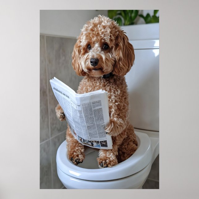 Funny Cockapoo Bathroom Print, Toilet Newspaper Poster (Front)