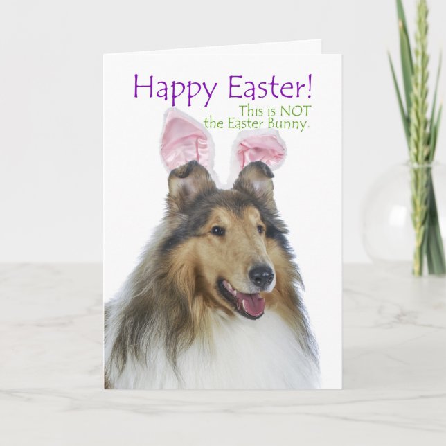 Funny Collie Easter Card (Front)