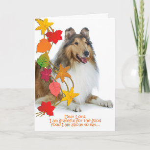 Funny Collie Thanksgiving Card