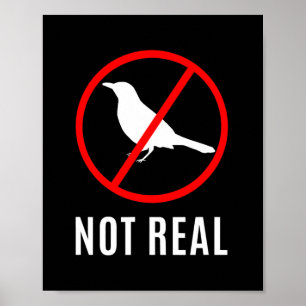 Funny Conspiracy Theory Birds Are A Lie Meme  Poster
