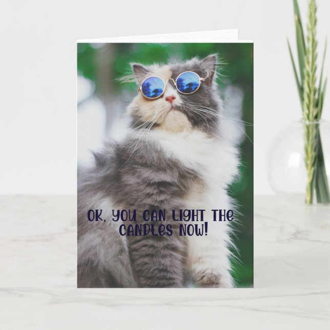 Funny Cool Cat Birthday Greeting Card  (Front)