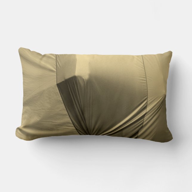 FUNNY Cool Unique Lumbar Cushion (Front)