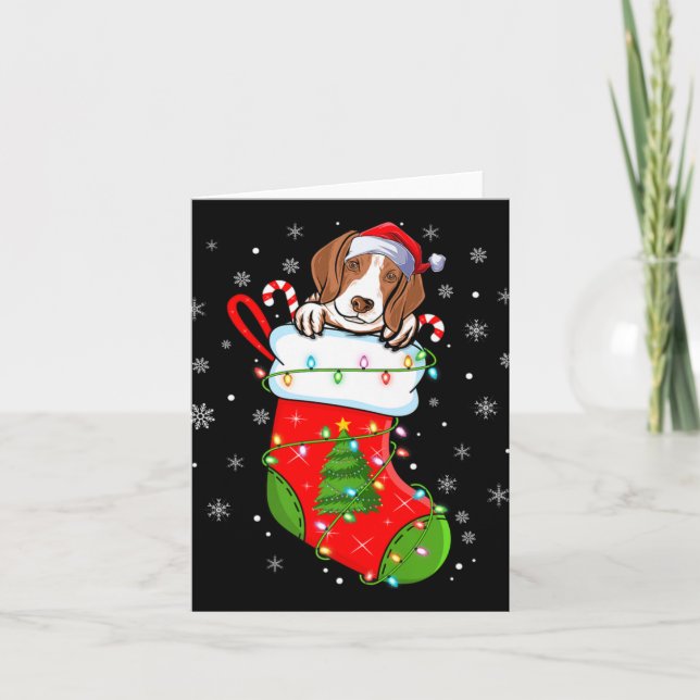 Funny Coonhound Dog In Christmas Socks Lights Xmas Card (Front)