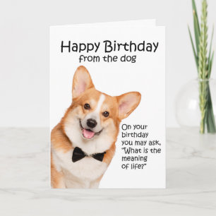Funny Corgi Birthday Card