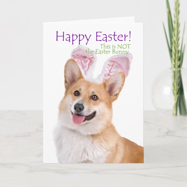 Funny Corgi Easter Card (Front)