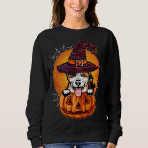 Funny Corgi Pumpkin Halloween Sweatshirt