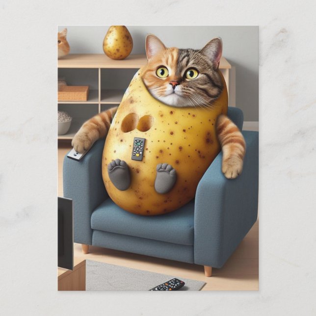 Funny Couch Potato Cat with Remotes Postcard (Front)