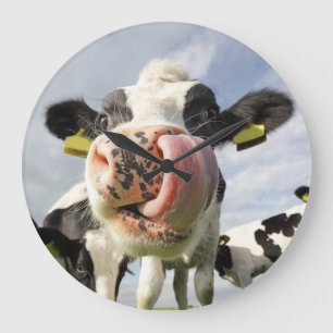 Funny cow clock